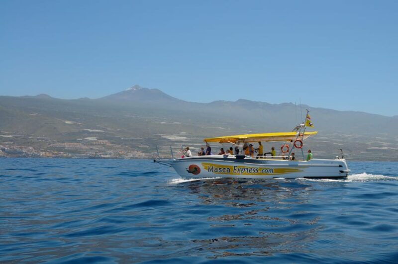 Los Gigantes: Dolphin & Whale Watching Cruise With Swim Stop - Good To Know
