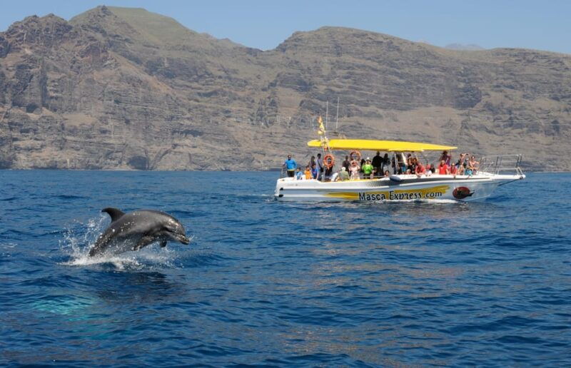 Los Gigantes: Dolphin & Whale Watching Cruise With Swim Stop - Experience Highlights