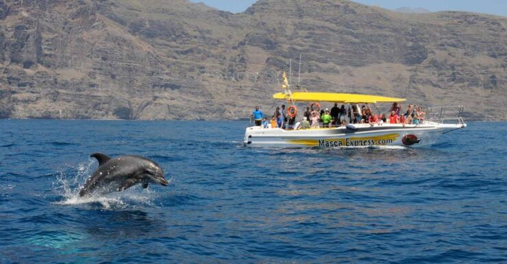 Los Gigantes: Dolphin & Whale Watching Cruise With Swimming - Good To Know