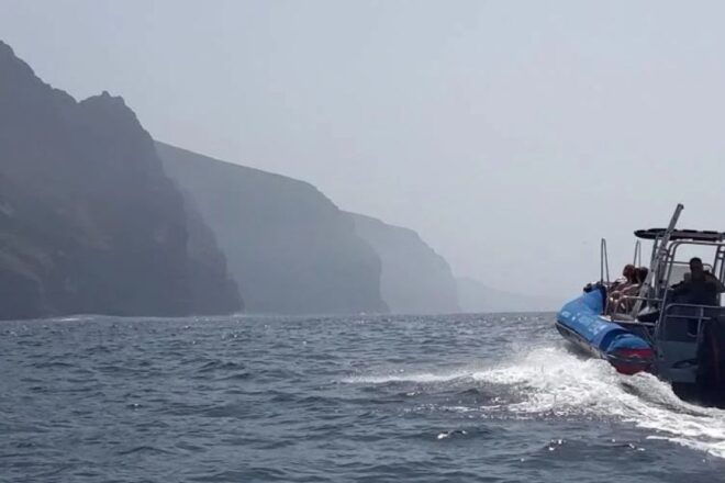 Los Gigantes to Teno: Boat Trip With Snorkeling & Drinks - Important Information