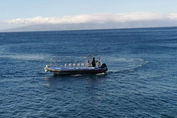 Los Gigantes to Teno: Boat Trip With Snorkeling & Drinks - Frequently Asked Questions