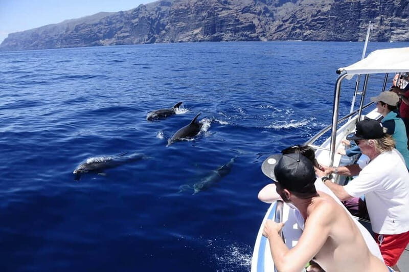 Los Gigantes: Whale or dolphin watching and swimming tour in Masca - Good To Know