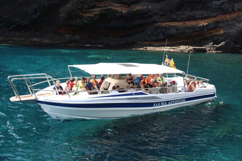 Los Gigantes: Whale or dolphin watching and swimming tour in Masca - Who Will Love This Experience?