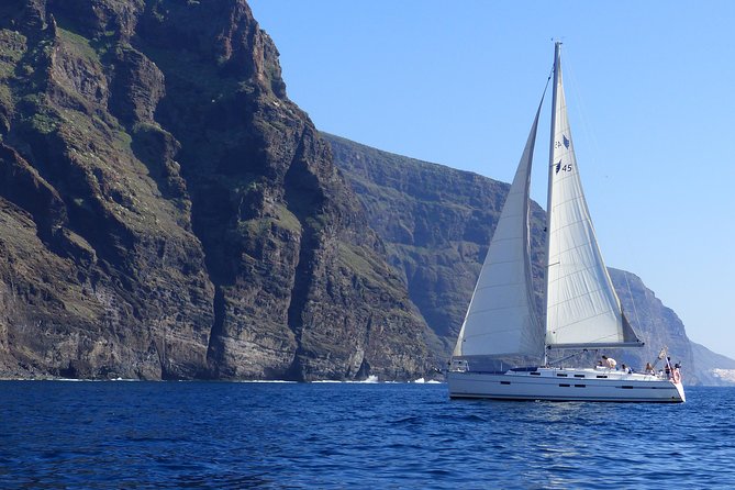 Los Gigantes Whale Watching Charter by Sail Boat - Customer Reviews