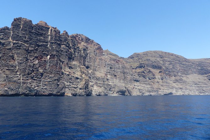 Los Gigantes Whale Watching Charter by Sail Boat - Recommendations and Customer Satisfaction