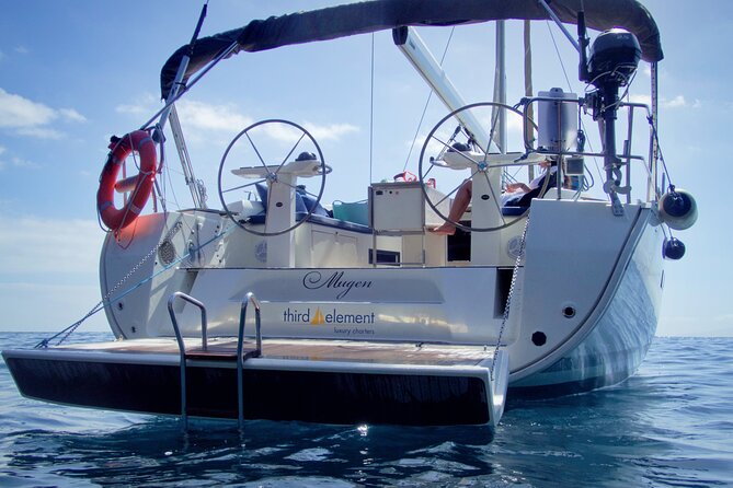 Los Gigantes Whale Watching Charter by Sail Boat - The Sum Up