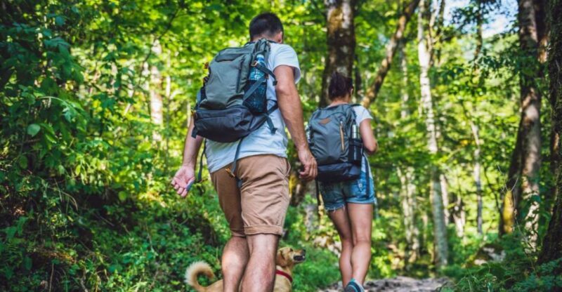 Los Haitises: Caves, Mangroves, & Rainforest Hike/Boat Tour - Final Thoughts: Who Is This Tour For?