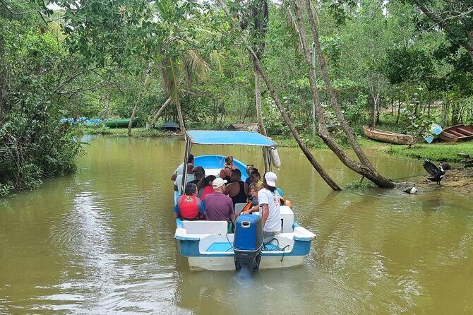 Los Haitises Day Trip with Montaña Redonda and Paraíso Caño Hondo - Good To Know  