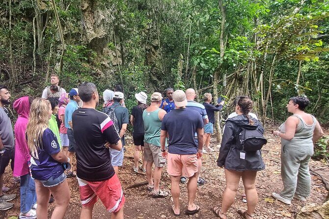 Los Haitises Day Trip with Montaña Redonda and Paraíso Caño Hondo - What the Reviews Say  