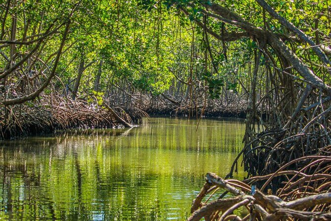 Los Haitises Day Trip with Montaña Redonda and Paraíso Caño Hondo - Final Thoughts