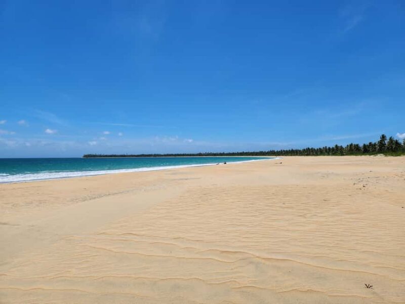 Los Haitises & Esmeralda Beach + Montana Redonda - An In-Depth Look at the Day’s Itinerary