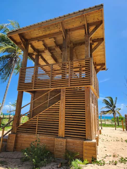 Los Haitises & Esmeralda Beach + Montana Redonda - FAQs