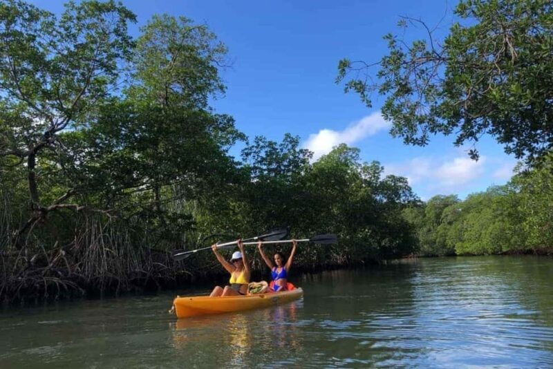 Los Haitises: Guided Kayak Tour with Local Guide - Good To Know