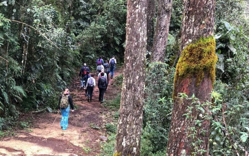 Los Haitises: Guided Kayak Tour with Local Guide - Exploring Los Haitises by Kayak: What You Can Expect