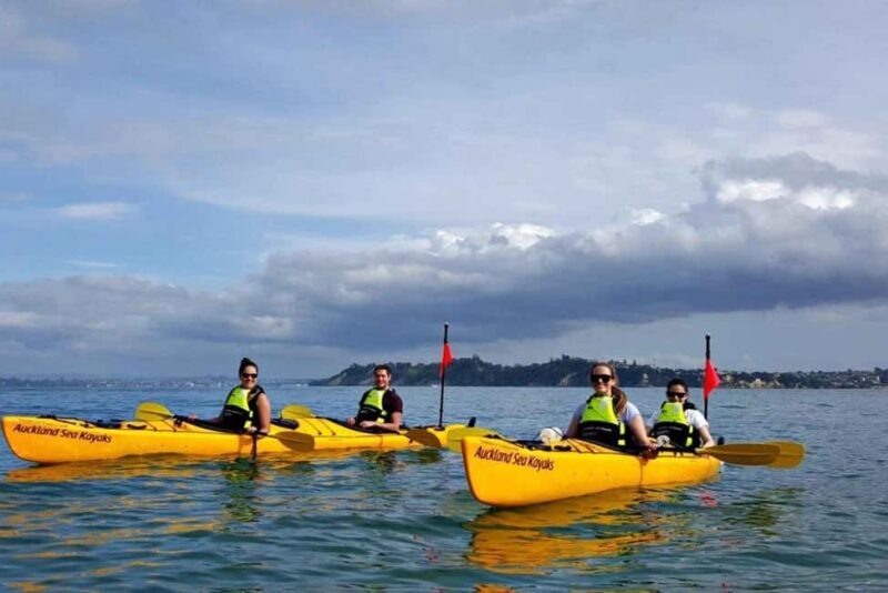 Los Haitises: Guided Kayak Tour with Local Guide - Who Will Love This Tour?