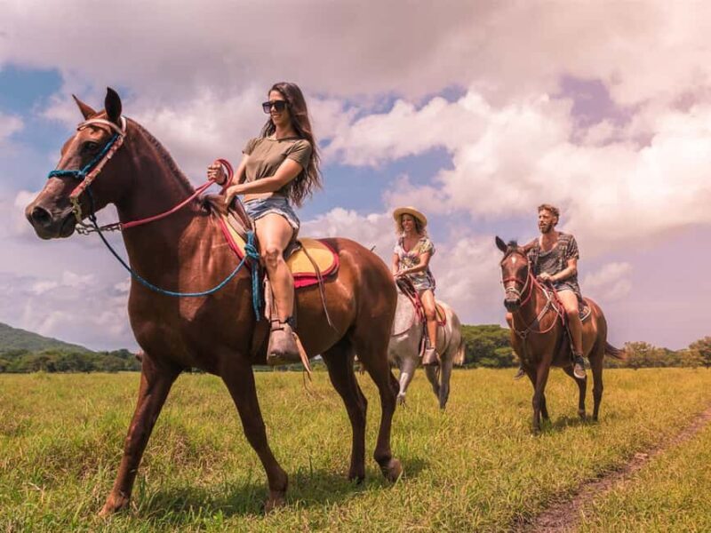 Los Haitises: Kayak and Horseback Riding Tour - Final Thoughts on the Los Haitises Kayak and Horseback Ride Tour