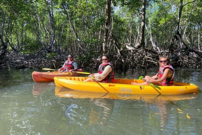 Los Haitises: Kayaking, Hiking, and Caving Tour with Lunch - Good To Know