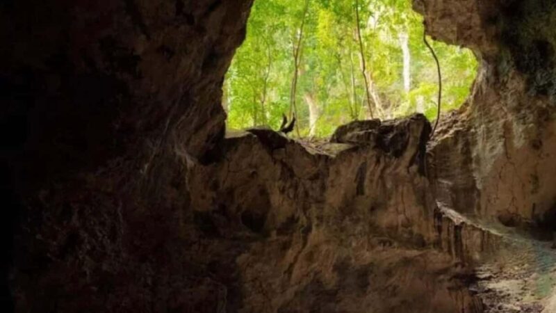 Los Haitises National Park: Boat Tour - Exploring Limestone Caves and Taino Pictographs