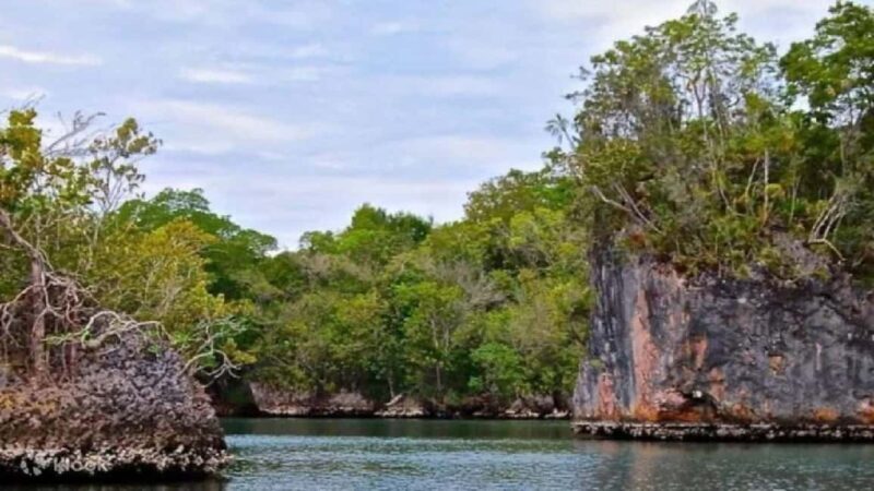 Los Haitises National Park: Boat Tour - The Sum Up