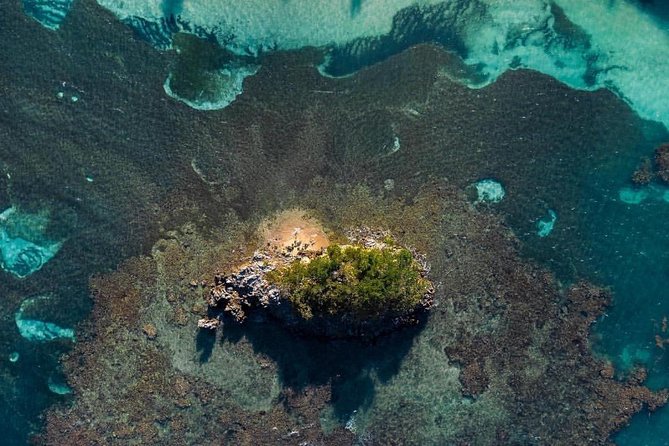 Los Haitises National Park Hiking 2 Hours and Kayaking 4 Hours - Diverse Landscapes and Wildlife Spotting
