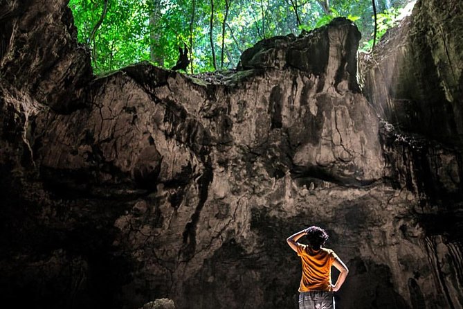 Los Haitises National Park - Hiking in Rain Forest Private Boat to Caves - Tour Highlights