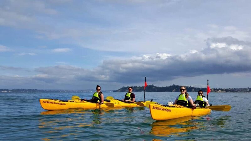 Los Haitises National Park: Kayaking and Hiking Tour - Good To Know