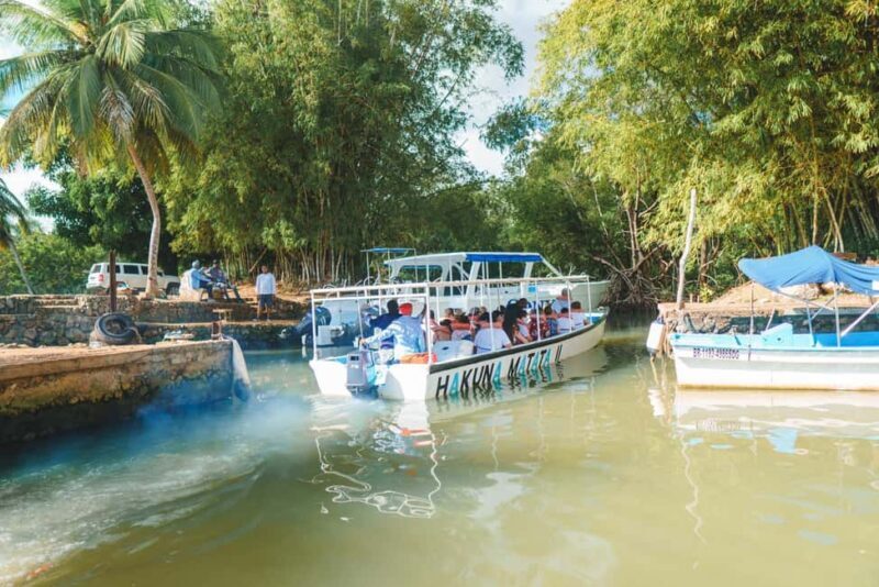 Los Haitises National Park & Montaña Redonda from Bayahibe - The Breathtaking Views from Montaña Redonda