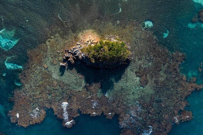 Los Haitises National Park private Kayaking 4 hours trip Mangroves and Cave - Good To Know