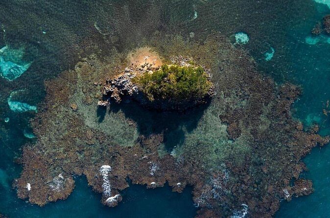 Los Haitises National Park private Kayaking 4 hours trip Mangroves and Cave - Discovering Los Haitises by Kayak: What to Expect