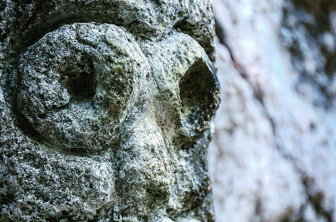 Los Haitises National Park private Kayaking 4 hours trip Mangroves and Cave - Final Thoughts: Is This Kayaking Tour Worth It?