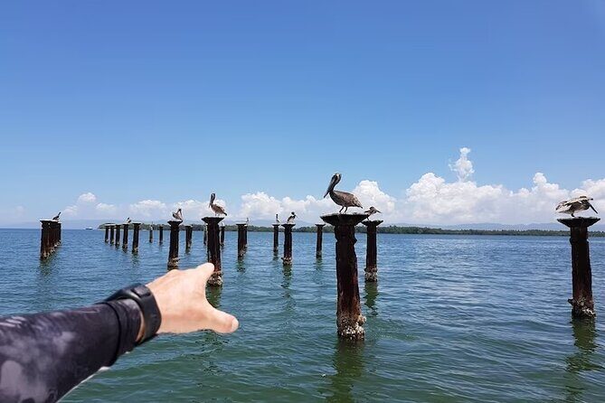 LOS HAITISES National Park - Punta cana - The Sum Up