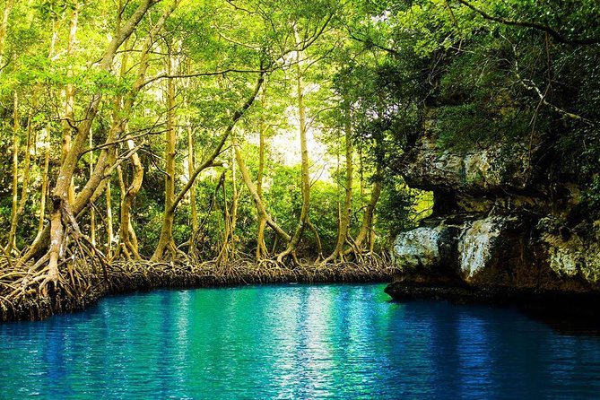 Los Haitises National Park Tour From Punta Cana, Montaña Redonda & Caño Hondo - Tour Highlights