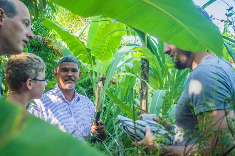 Los Haitises Park, Yanigua Waterfall, & Montaña Redonda Tour - Good To Know