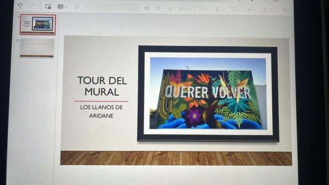 Los Llanos De Aridane: Guided Walking Tour With Open Air Museum - Inclusions