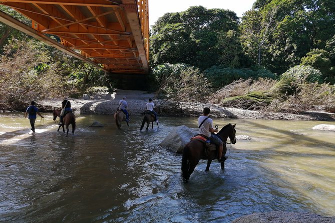 Los Naranjos Beach Horseback Riding Tayrona Park. - Overview