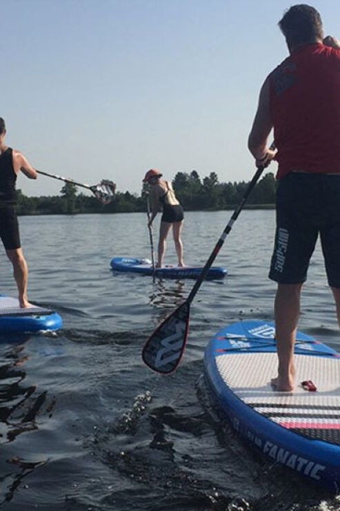 Losheim: SUP Course - Key Features