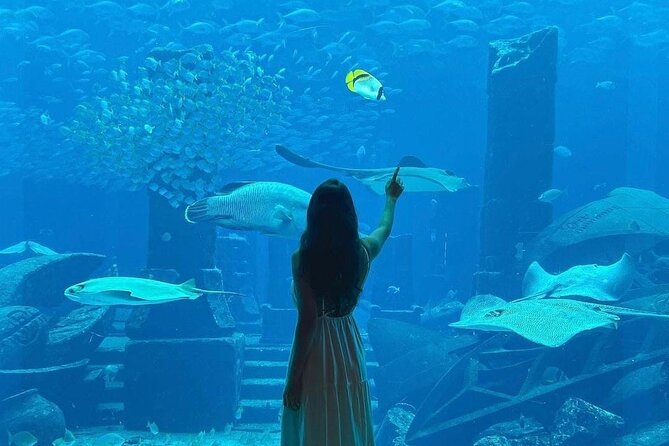Lost Chamber Aquarium in Atlantis, Dubai - Common Questions