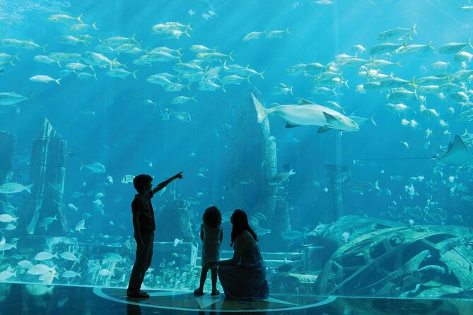 Lost Chamber Tickets With Sharing Transfers - Cancellation Policy