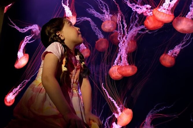 Lost Chamber Tickets With Sharing Transfers - Important Notes for Visitors