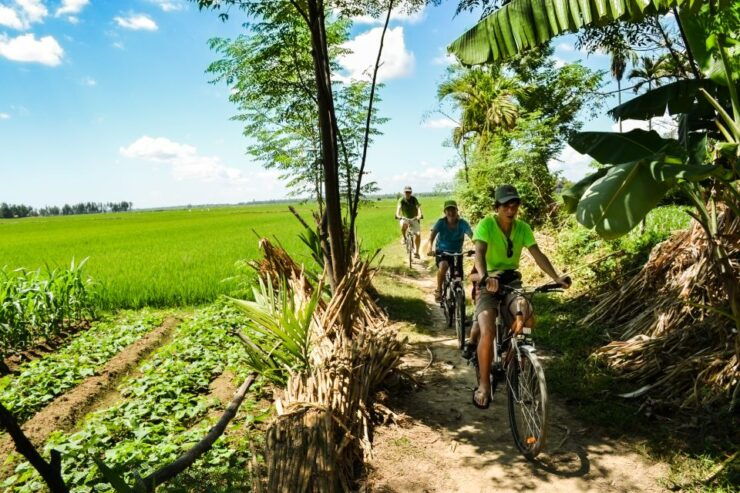 Lost Civilization - My Son Temples Bike Tour in Hoi An - Activity Details
