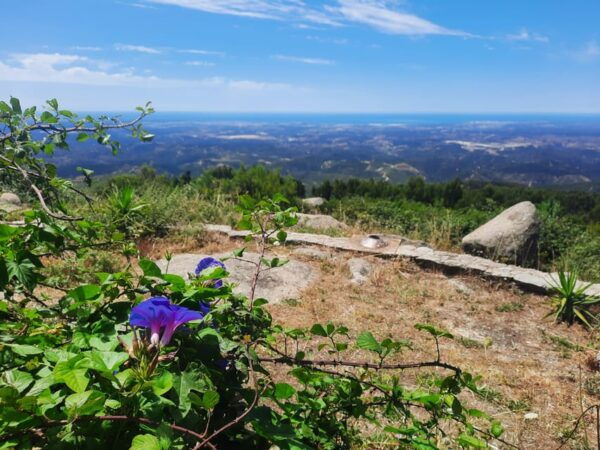 Lost Heritage - Silves & Monchique - Frequently Asked Questions
