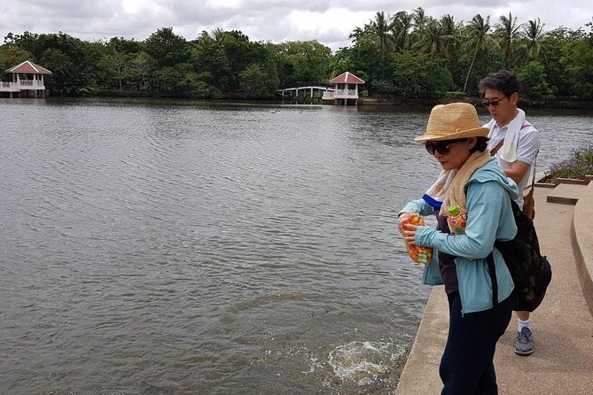 Lost in Bangkok : Green Lung Jungle Bicycle Ride With Lunch - Immersive Adventure in the Concrete Jungle