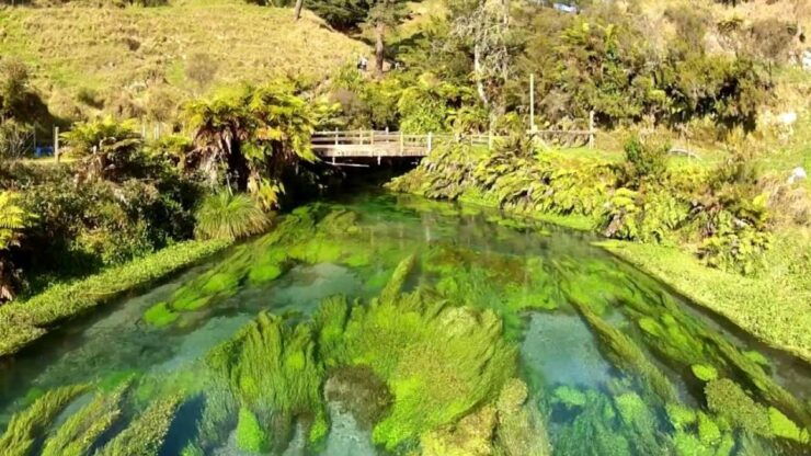 LOTR Tour) Hobbiton Movie Set & Hamurana Spring - Activity Highlights
