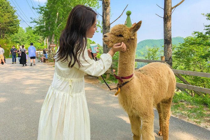 Lotte World & Alpaca World & Nami Island Private Tour - The Sum Up