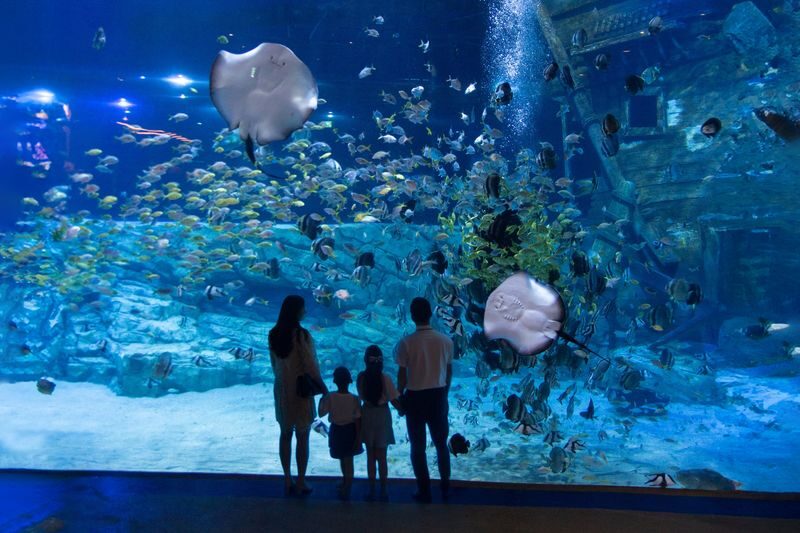 Lotte World Aquarium Hanoi Ticket - A Vietnamese legend sets the tone