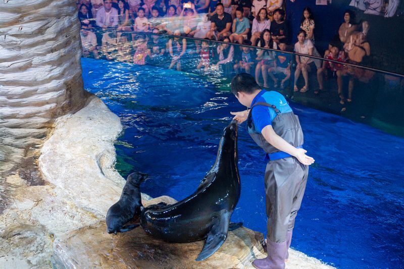 Lotte World Aquarium Hanoi Ticket - Look for capybaras, penguins, and special presentations