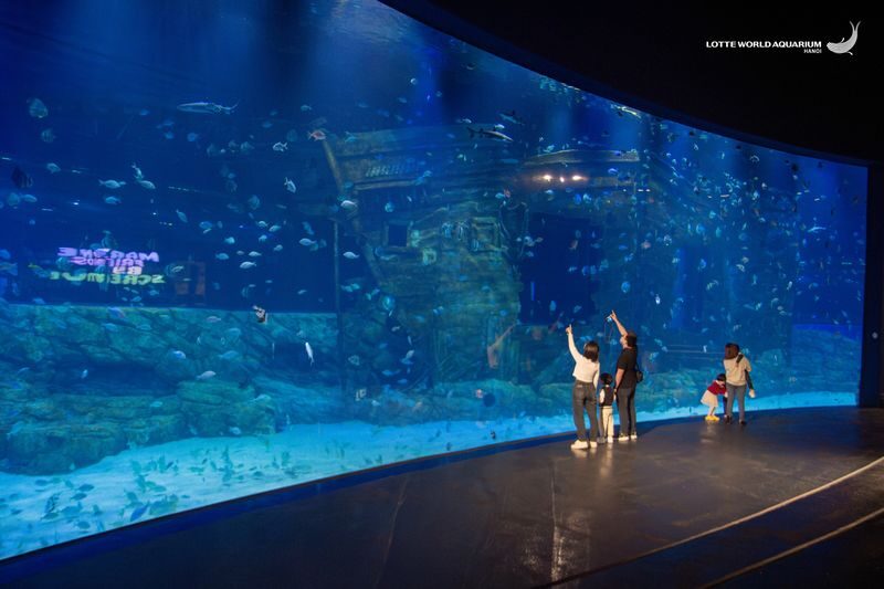 Lotte World Aquarium Hanoi Ticket - What the ticket price buys