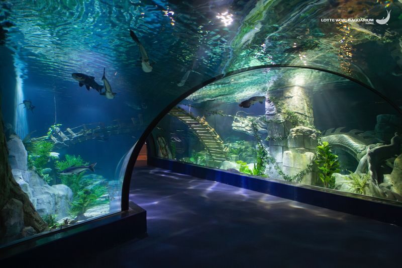 Lotte World Aquarium Hanoi Ticket - Plan your visit around the hours and shows