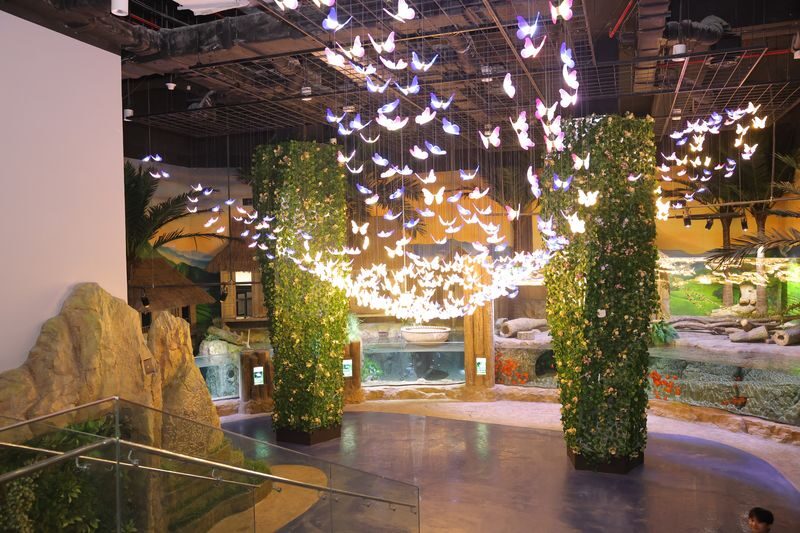 Lotte World Aquarium Hanoi Ticket - Who will enjoy this aquarium most?