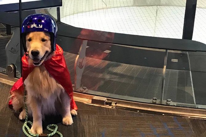 Loudoun Indoor Skydiving Experience With 2 Flights & Personalized Certificate - The Sum Up